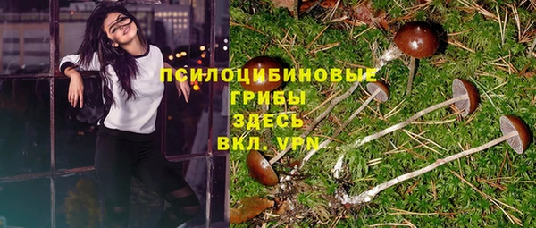 бошки Алексин