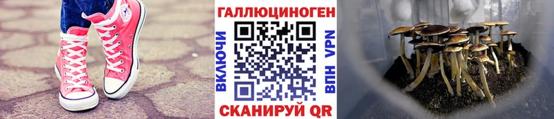 Псилоцибиновые грибы ЛСД Перевоз